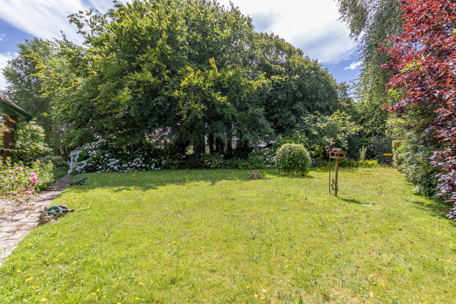 Waysmeet photo 17