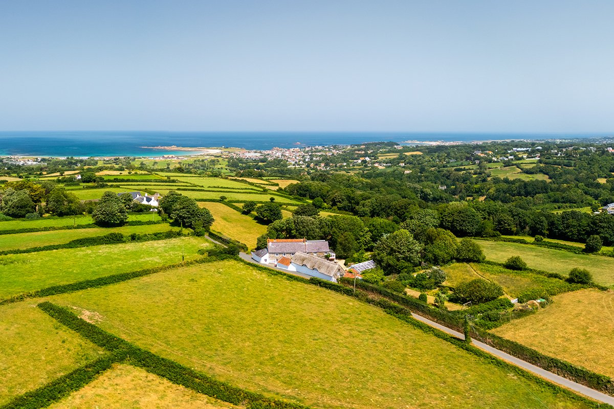 L’Etiennerie Farm photo 2