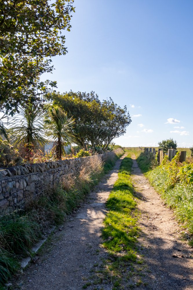La Frette Farm photo 66