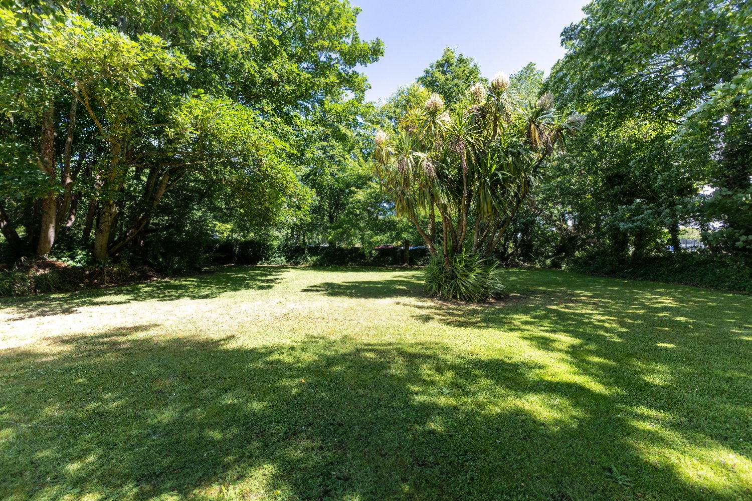 9 Meadow Grove photo 3