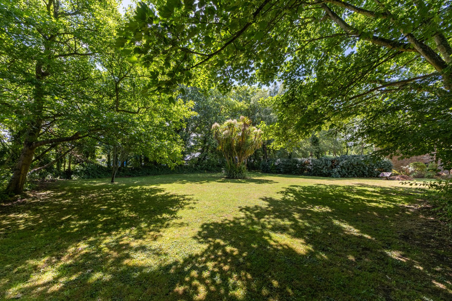 9 Meadow Grove photo 16