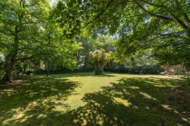 9 Meadow Grove photo 16