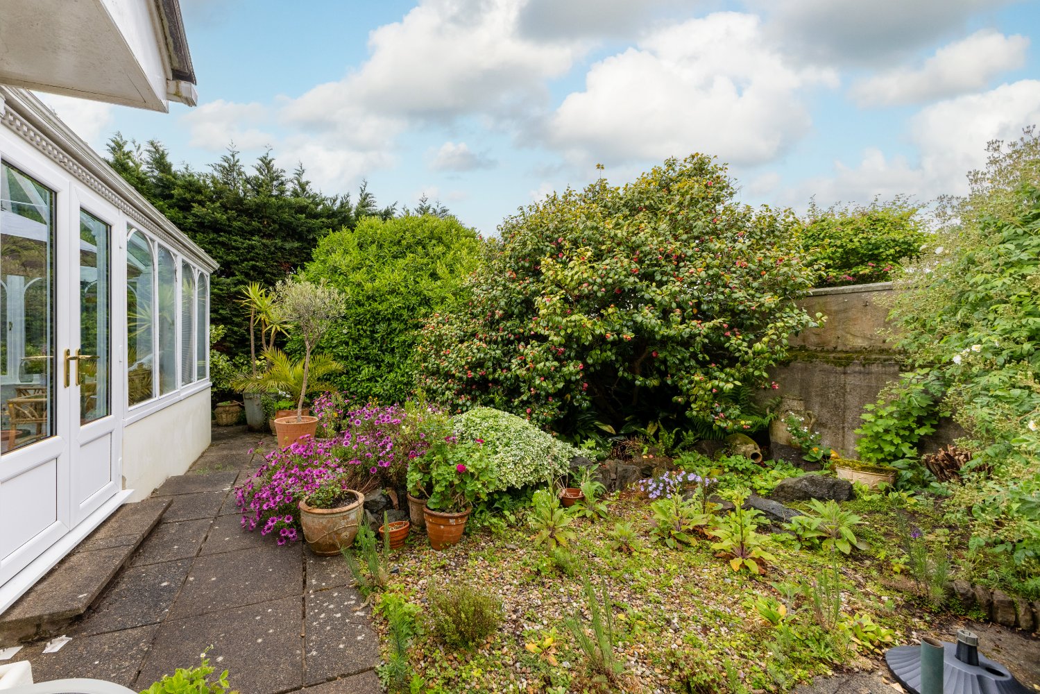 Okewood photo 16
