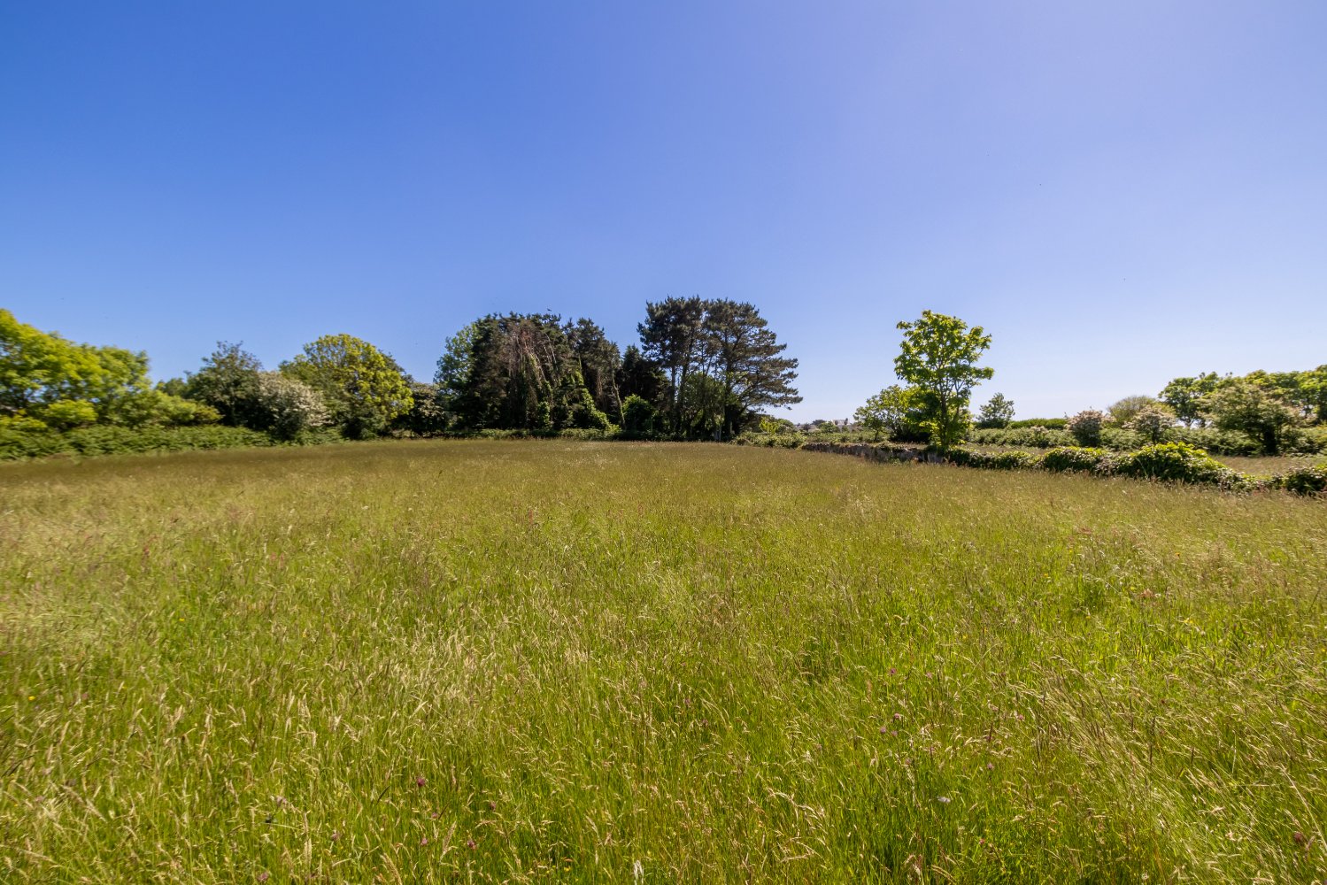 La Forge photo 28