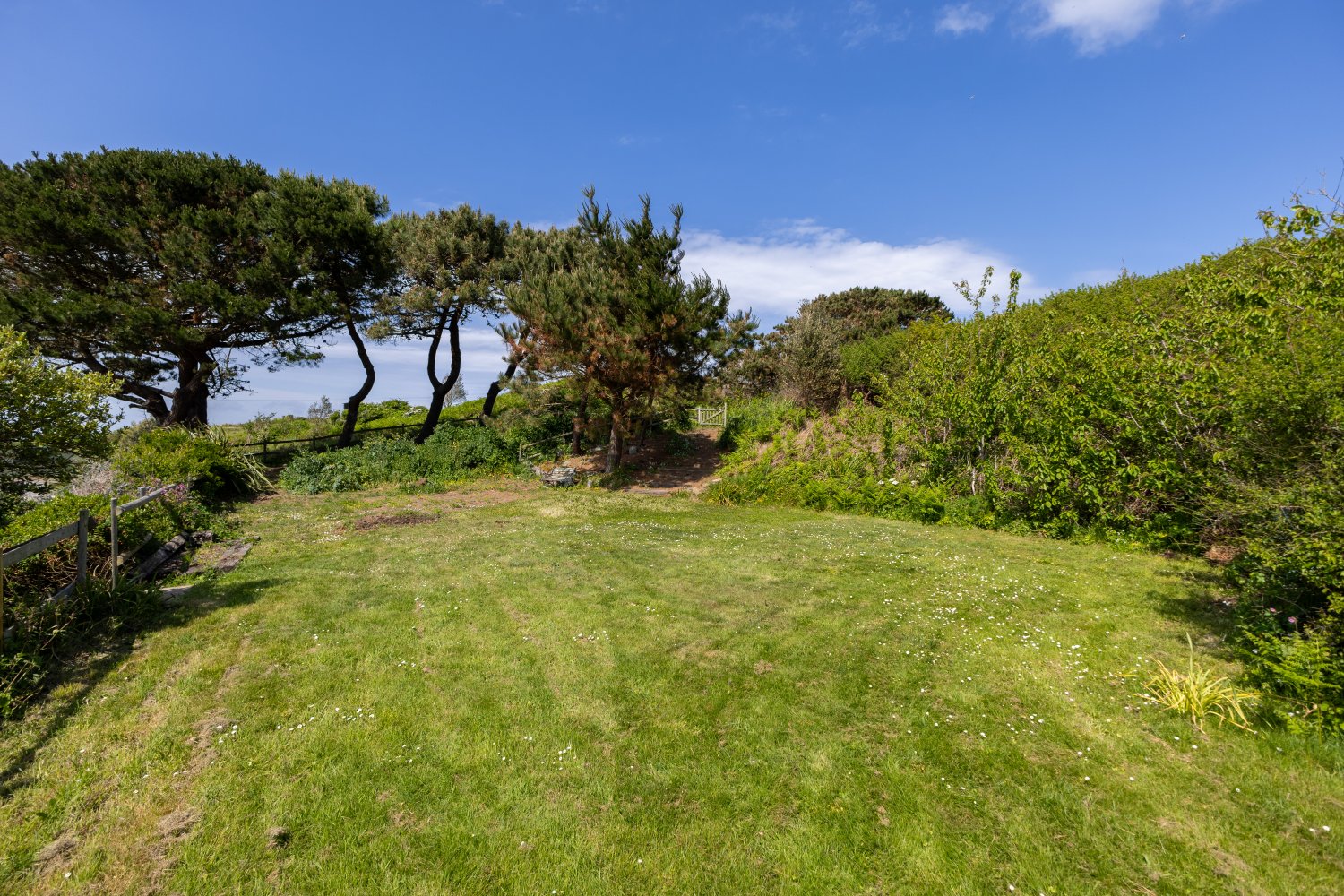 Oakfield photo 35