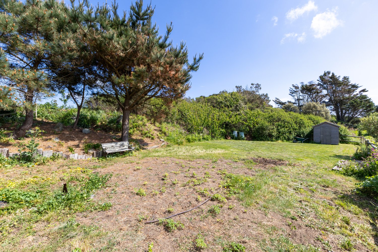 Oakfield photo 37