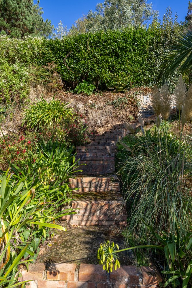Woodlands - photo 32 of 42