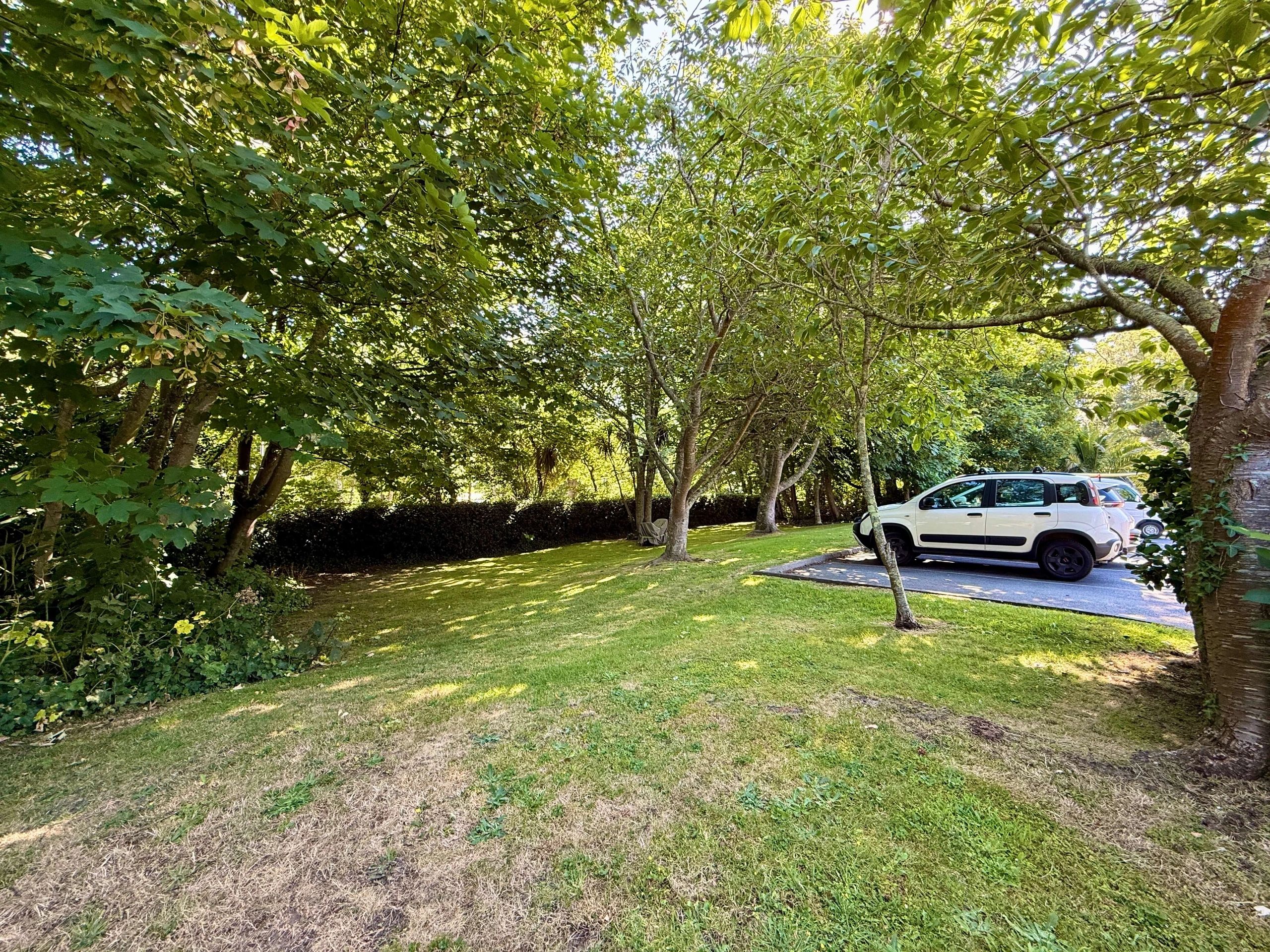 10 Meadow Grove photo 31