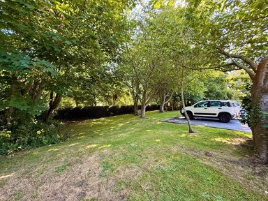 10 Meadow Grove photo 31