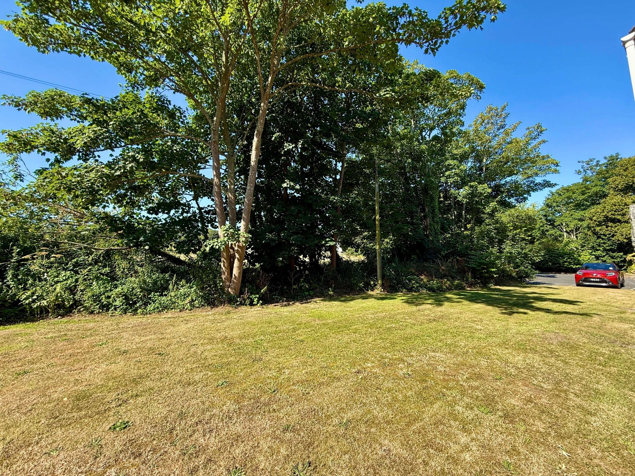 10 Meadow Grove photo 33