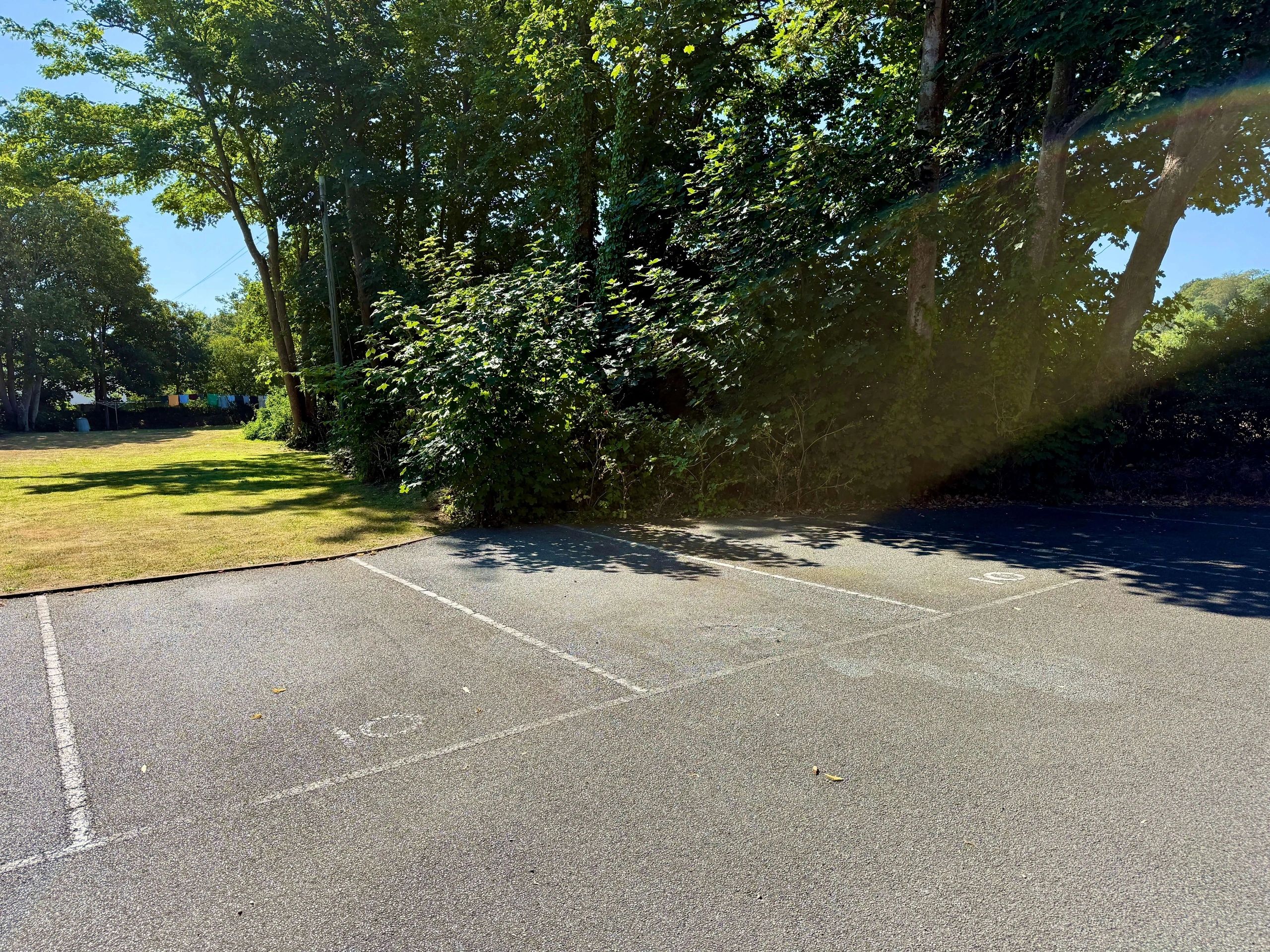 10 Meadow Grove photo 35