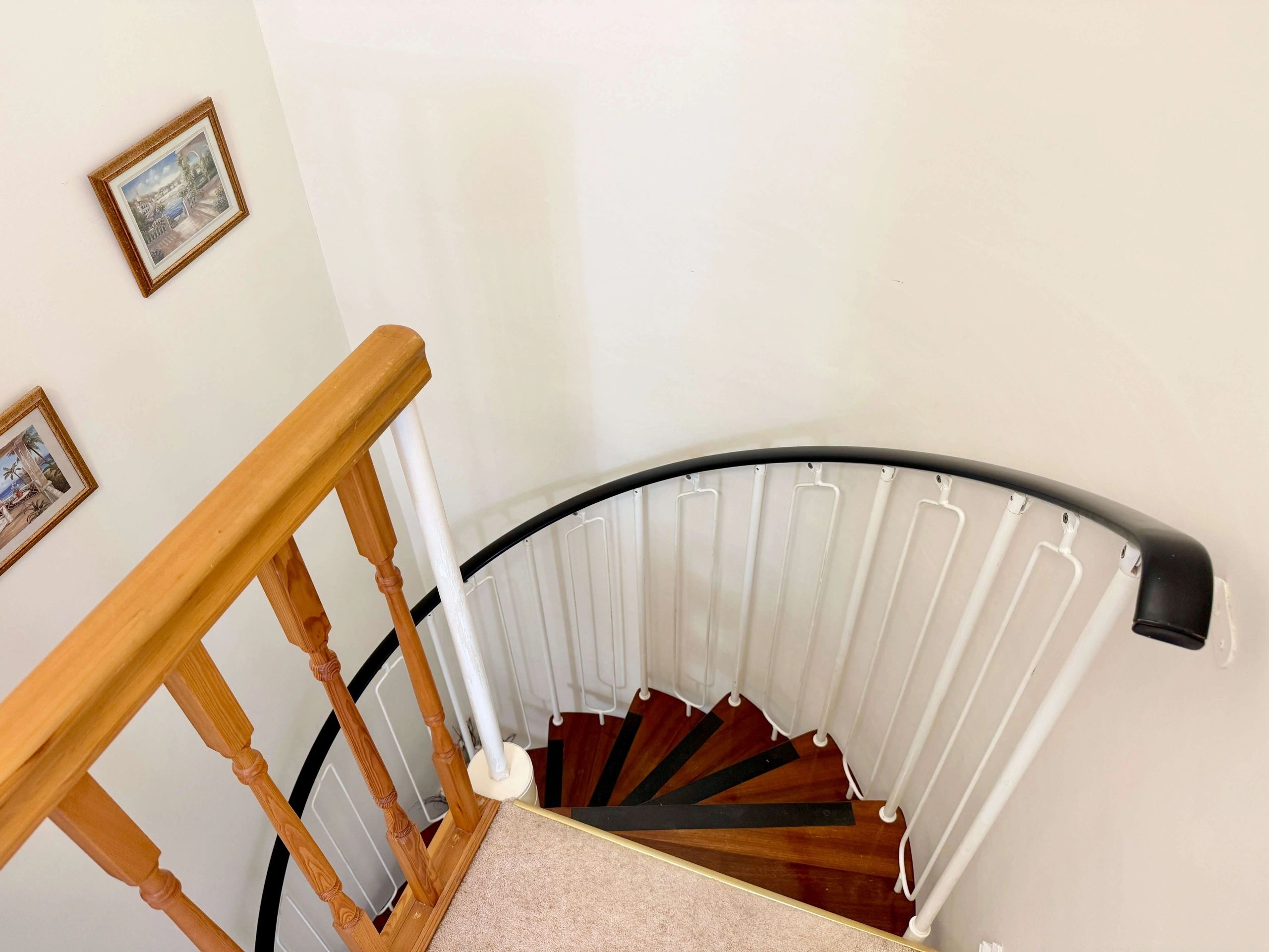10 Meadow Grove photo 20