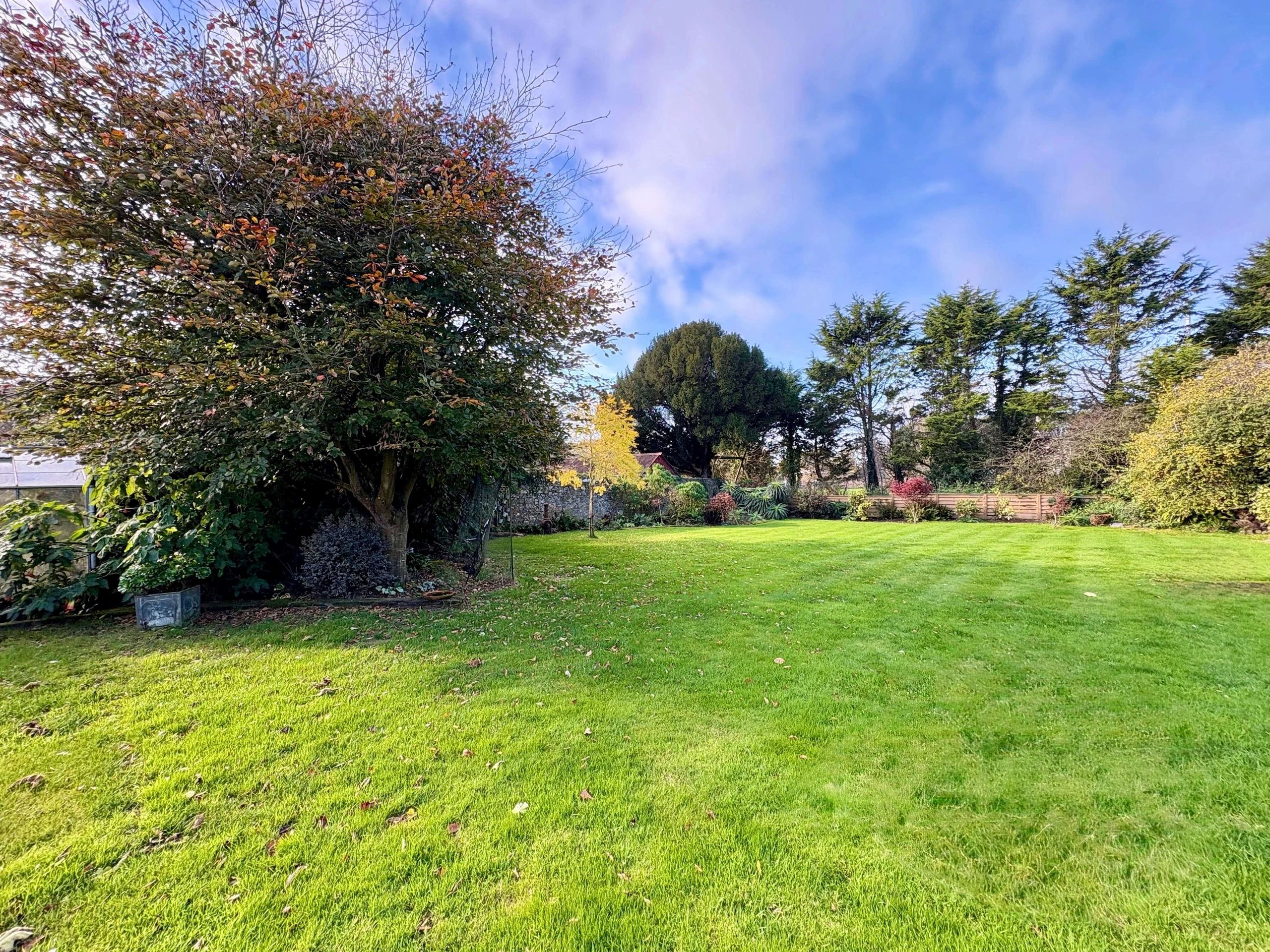 Figtree Cottage photo 35
