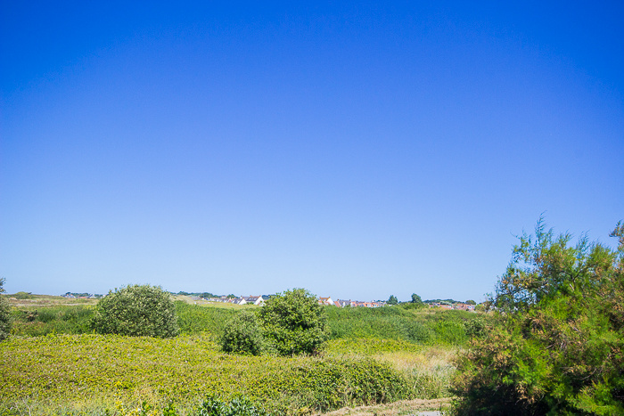 Clunbury, Clos De Mer, Les Grandes Rocques, Castel photo 22